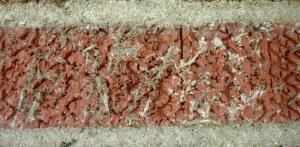 This is your uterus on babies.