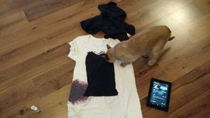 IMG_20150609_141218347