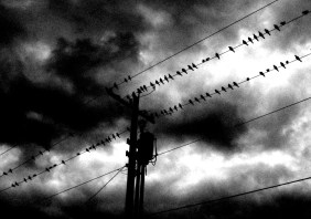 2077158526_98393523f5_o